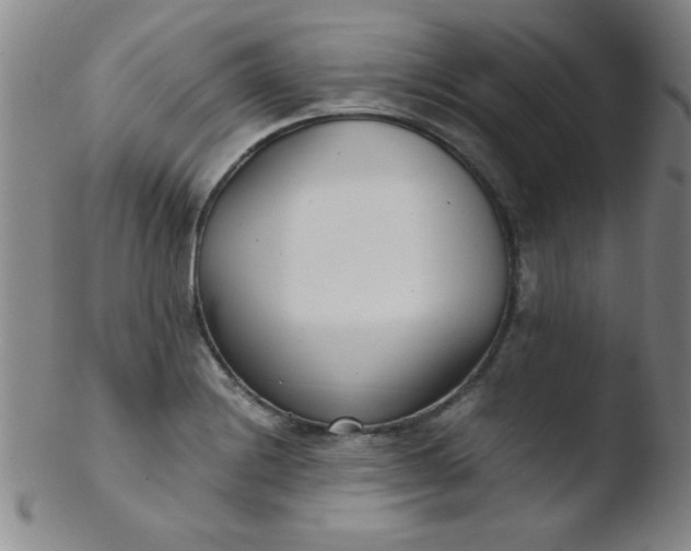 X0000103481228200809261920