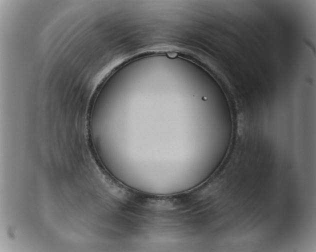 X0000103481229200809261920