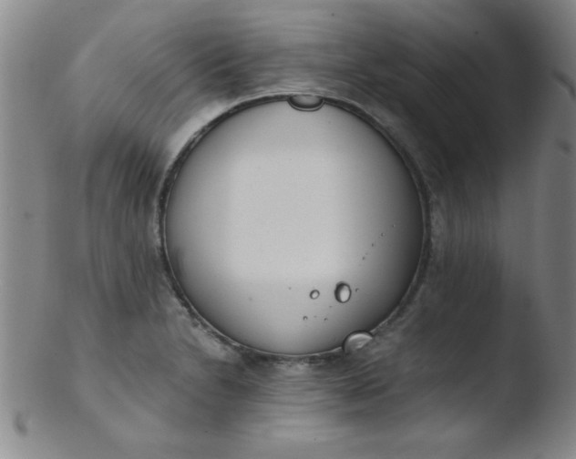 X0000103481230200809261920