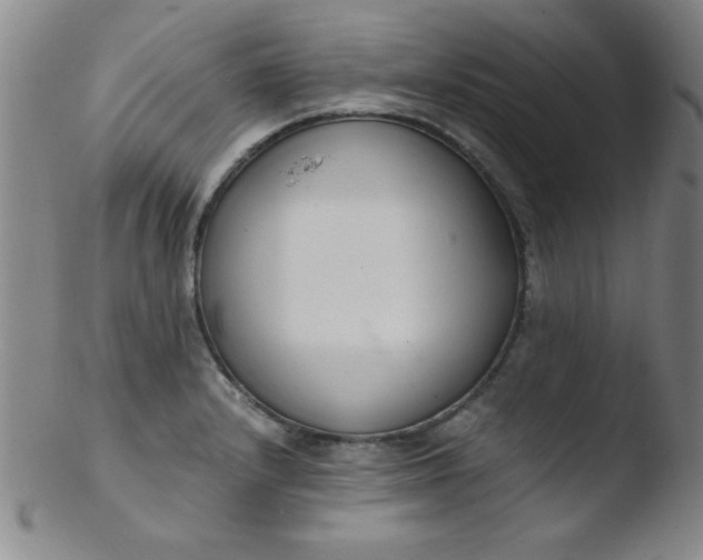 X0000103481232200809261920