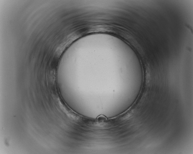 X0000103481233200809261920