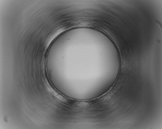 X0000103481235200809261920