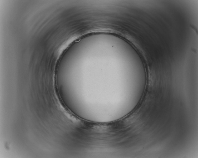 X0000103481237200809261920
