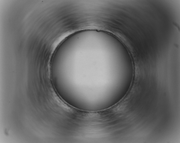 X0000103481238200809261920