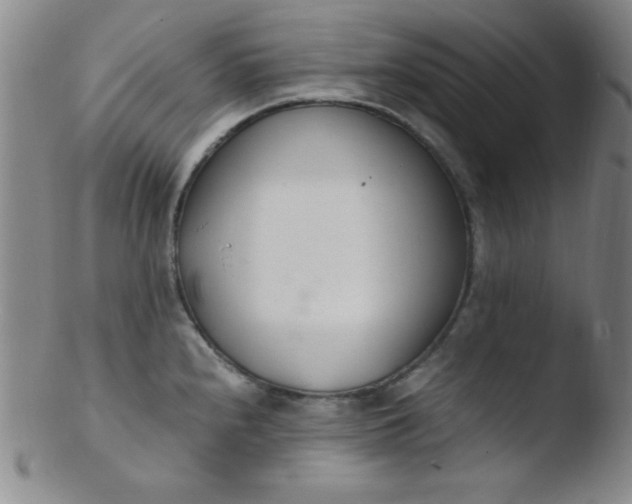 X0000103481240200809261920