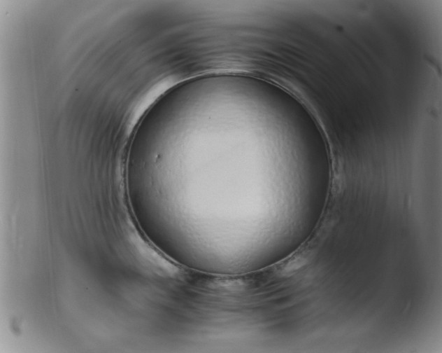 X0000103481243200809261920