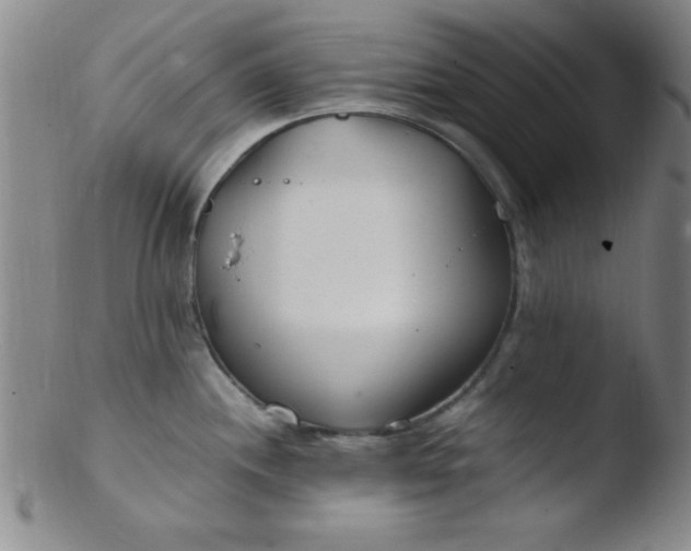 X0000103481244200809261920