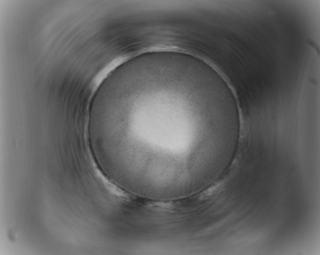 X0000103481245200809261920