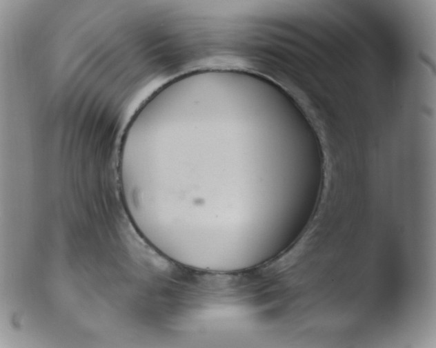 X0000103481248200809261920