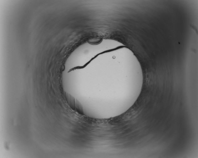 X0000103481249200809261919