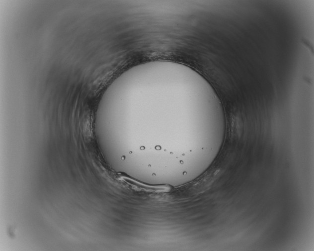 X0000103481250200809261919