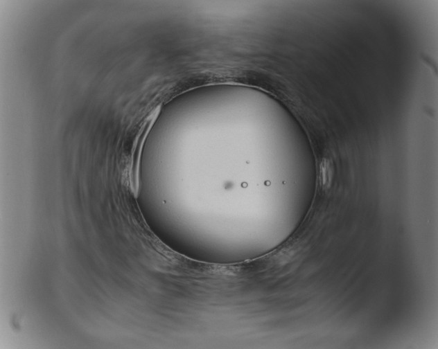 X0000103481251200809261919
