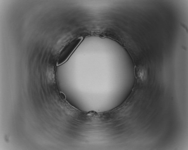 X0000103481252200809261919
