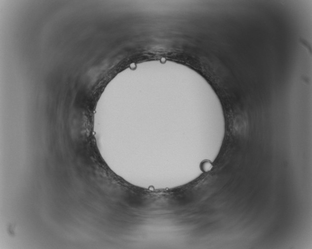 X0000103481253200809261919