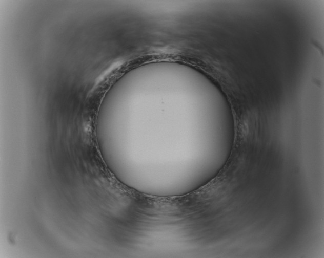 X0000103481254200809261919