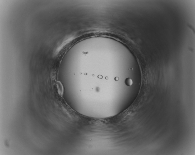 X0000103481255200809261919