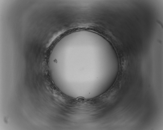 X0000103481256200809261919