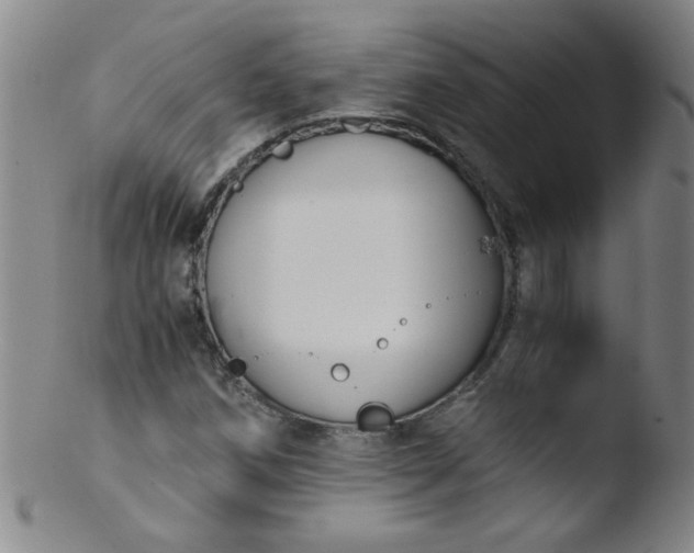 X0000103481258200809261919