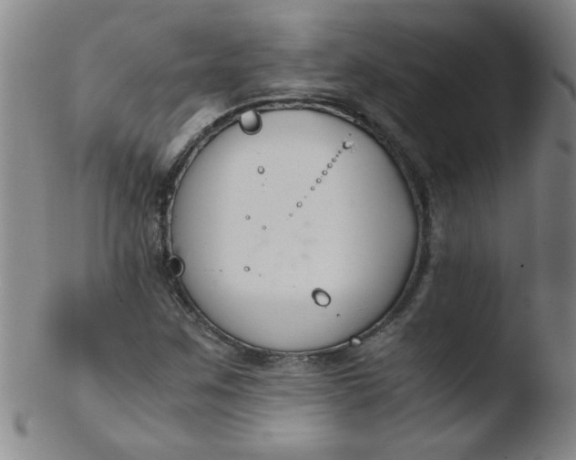 X0000103481259200809261919