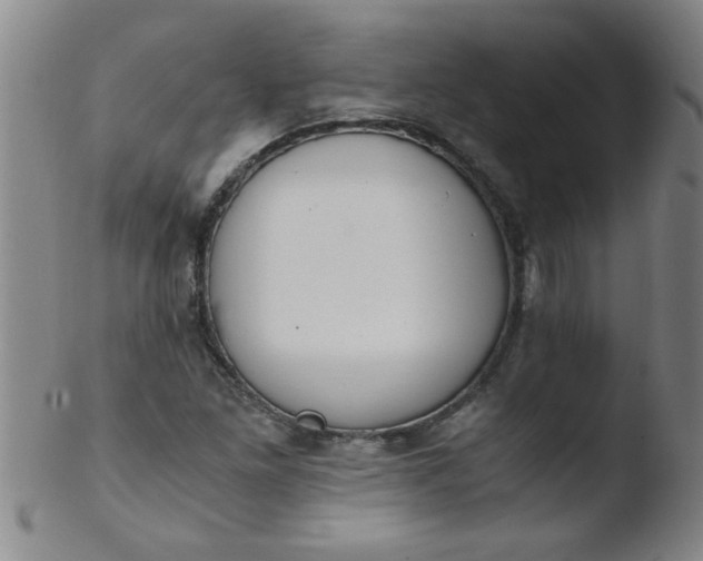 X0000103481261200809261919
