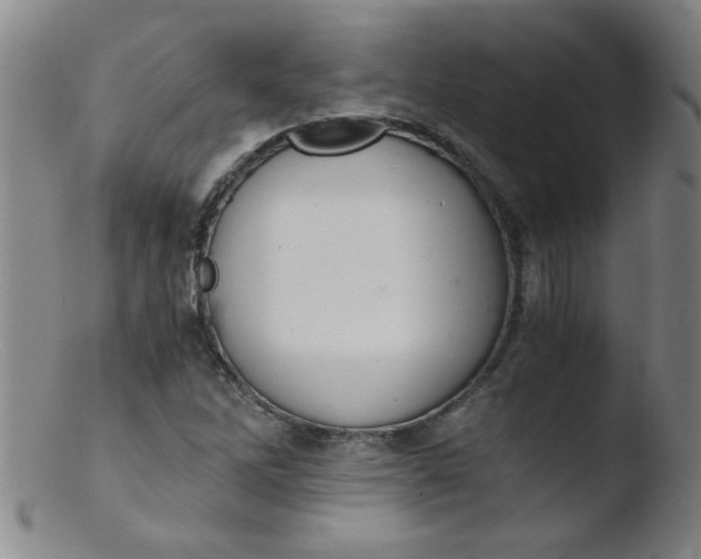 X0000103481262200809261919