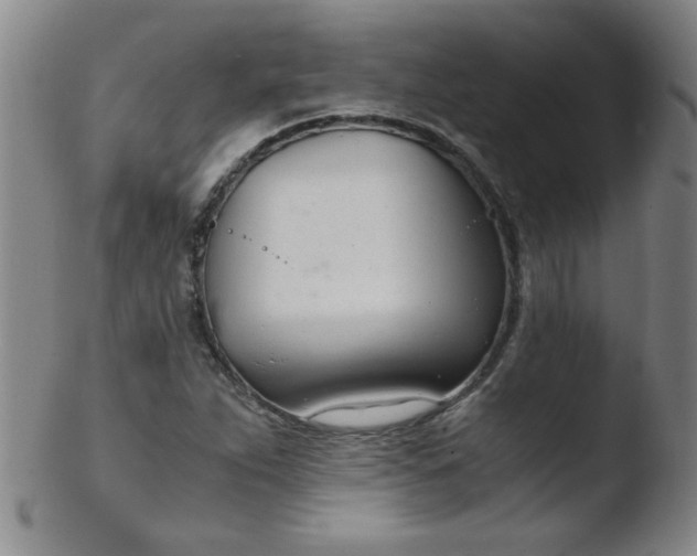 X0000103481263200809261919
