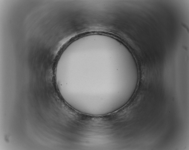 X0000103481264200809261919