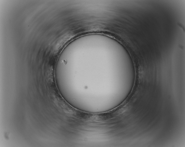 X0000103481265200809261919