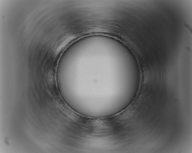 X0000103481266200809261919