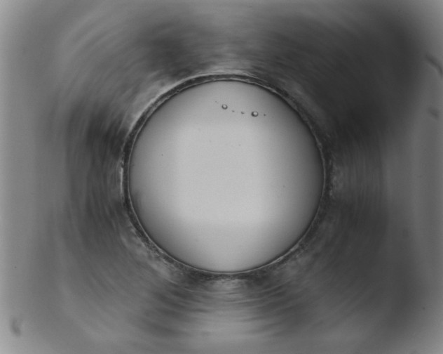 X0000103481268200809261919