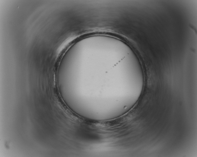 X0000103481271200809261919