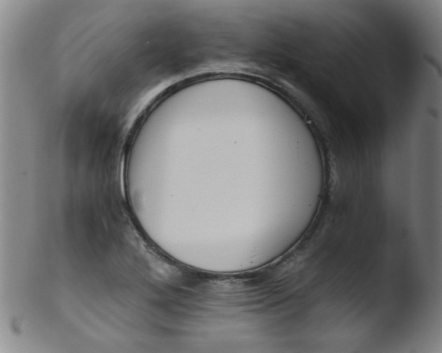 X0000103481272200809261919