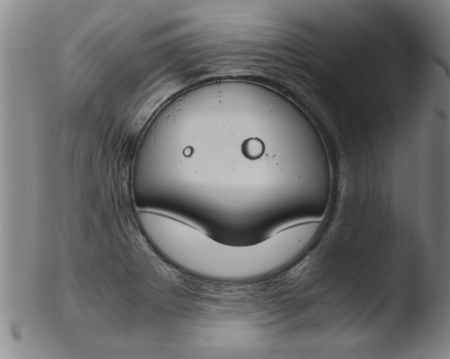 X0000103481273200809261919