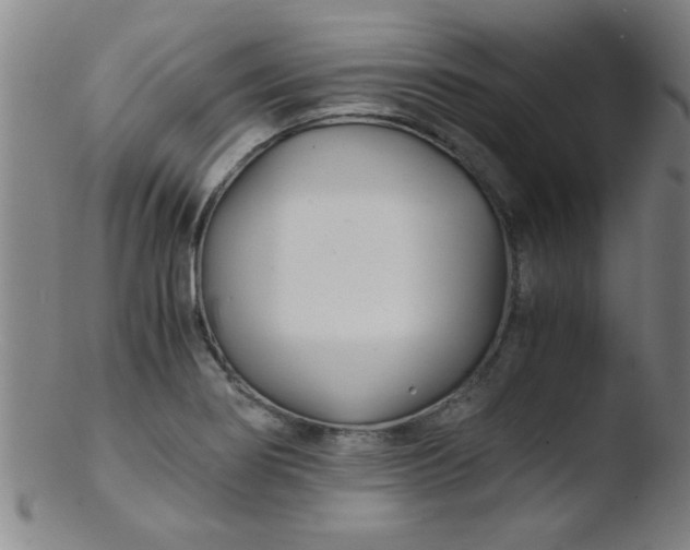 X0000103481274200809261919