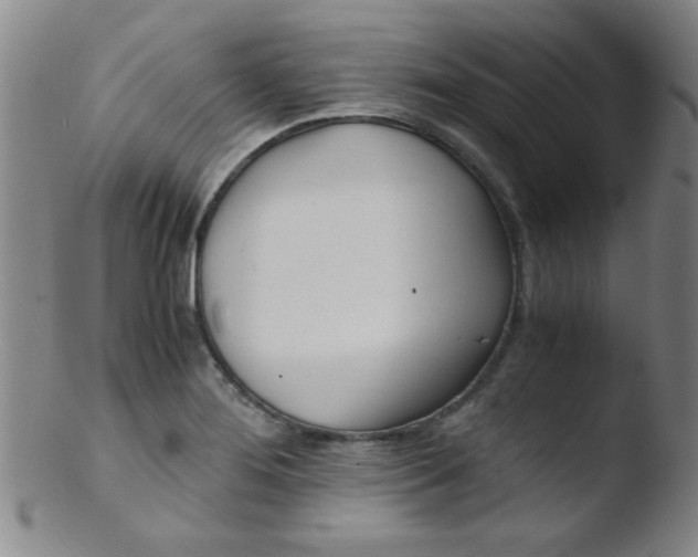 X0000103481276200809261919