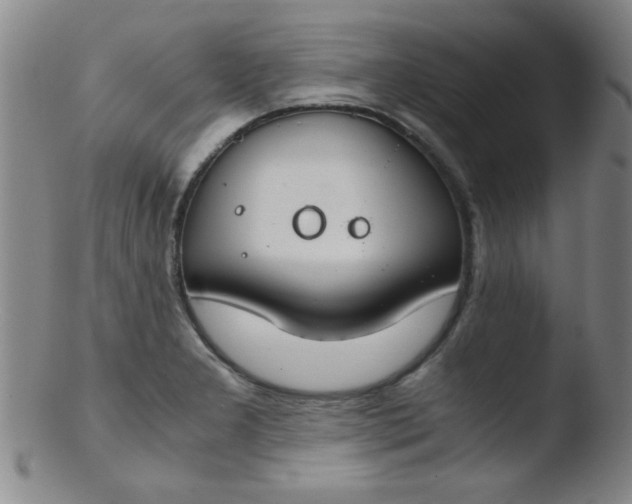 X0000103481277200809261919