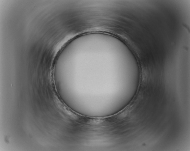 X0000103481278200809261919
