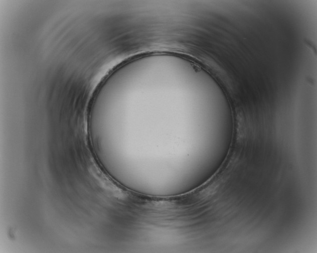 X0000103481280200809261919