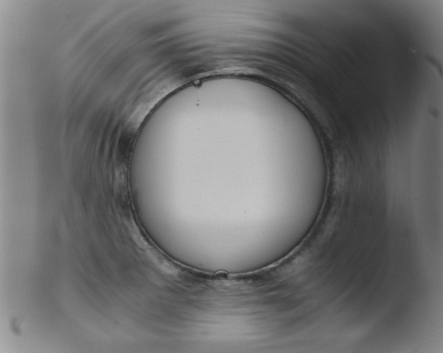 X0000103481281200809261919