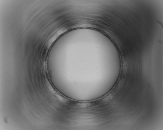 X0000103481282200809261919