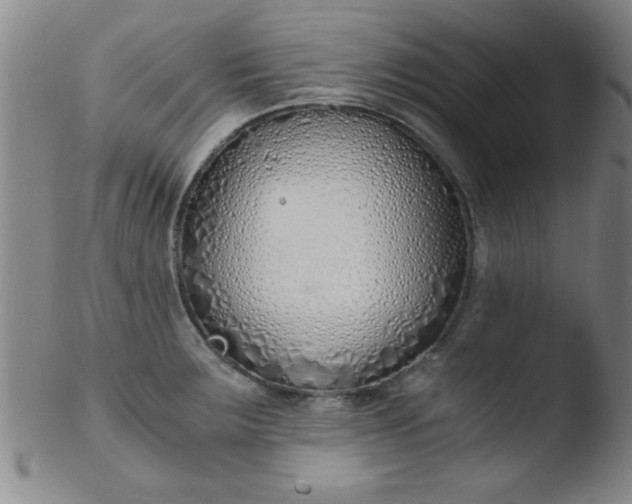 X0000103481283200809261919
