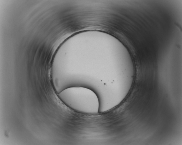 X0000103481284200809261919