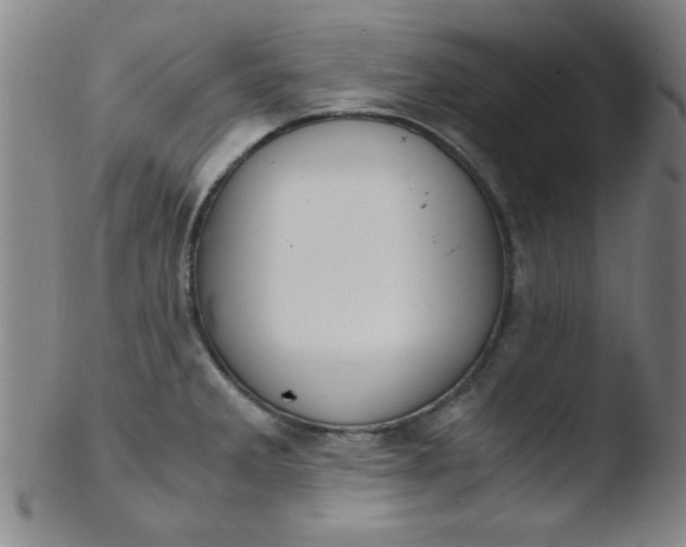 X0000103481285200809261919