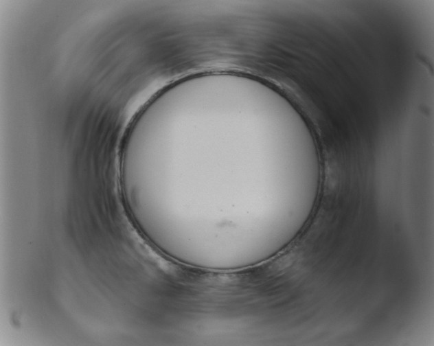 X0000103481286200809261919