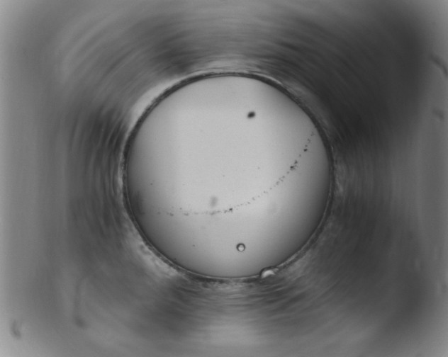 X0000103481288200809261919