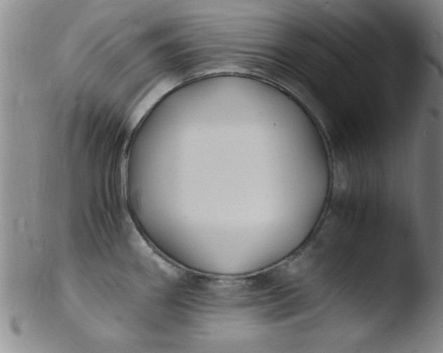 X0000103481290200809261919