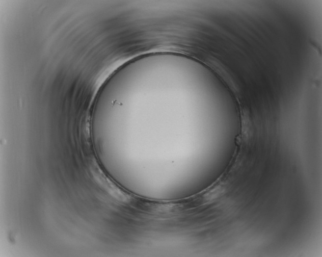 X0000103481292200809261919