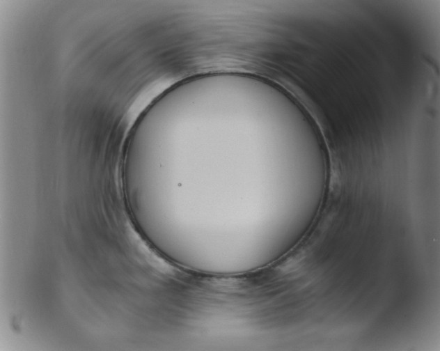 X0000103481293200809261919