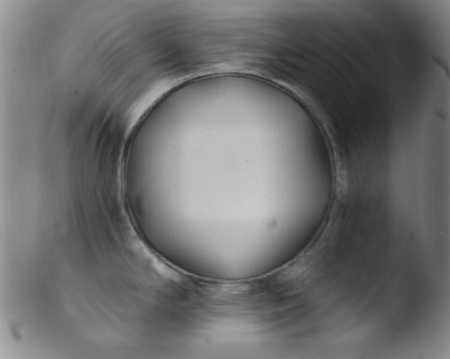 X0000103481294200809261919