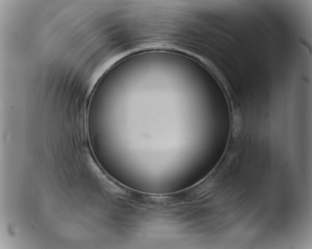 X0000103481295200809261919